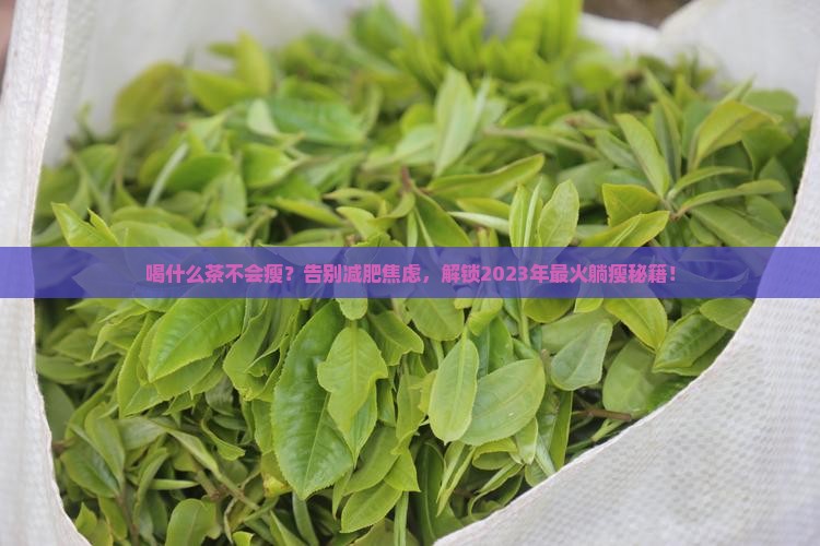 喝什么茶不会瘦