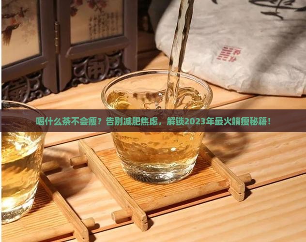 喝什么茶不会瘦