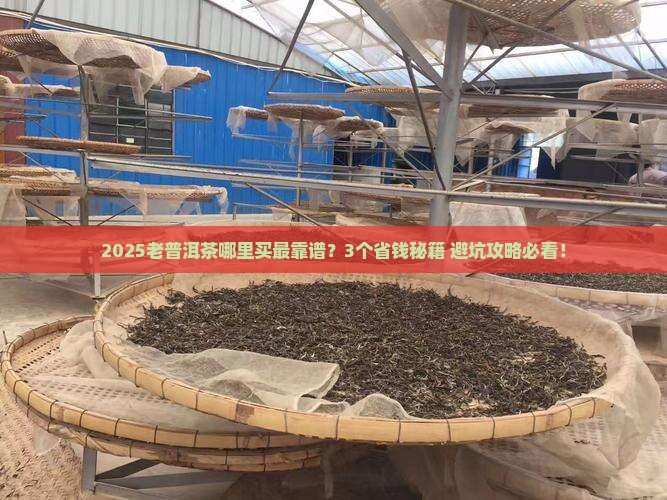 老普洱茶在哪里买