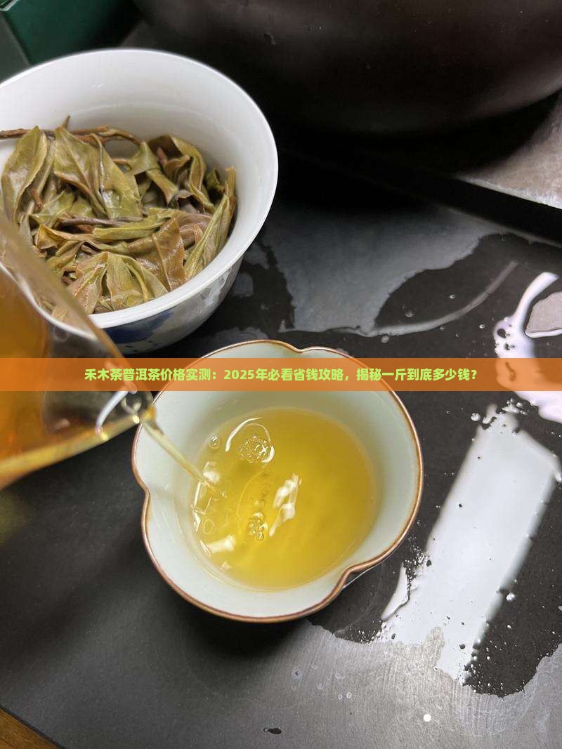 禾木茶普洱茶多少钱一斤