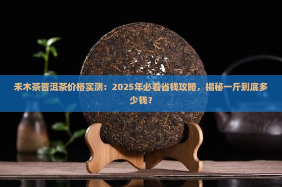 禾木茶普洱茶多少钱一斤