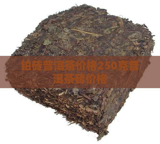 铂砖普洱茶价格
