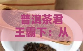 普洱茶君王霸下