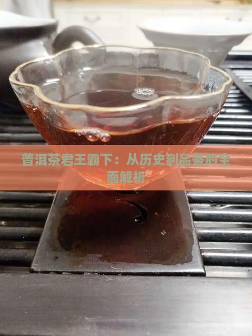 普洱茶君王霸下