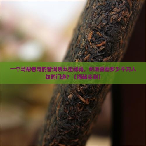 马帮来普洱茶五星