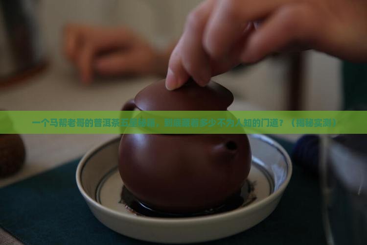 马帮来普洱茶五星