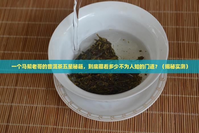 马帮来普洱茶五星