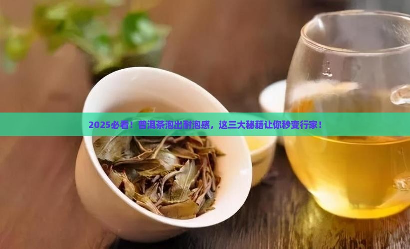 普洱茶怎么泡才能耐泡