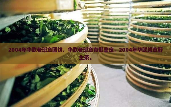 2004年华联老班章圆饼