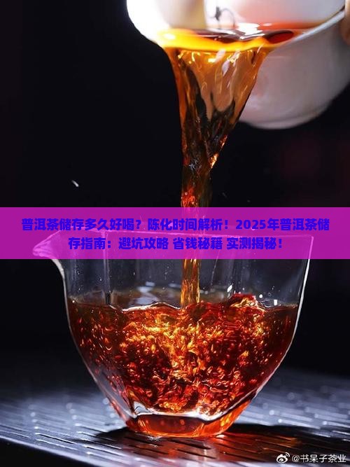 普洱茶储存多久好喝些