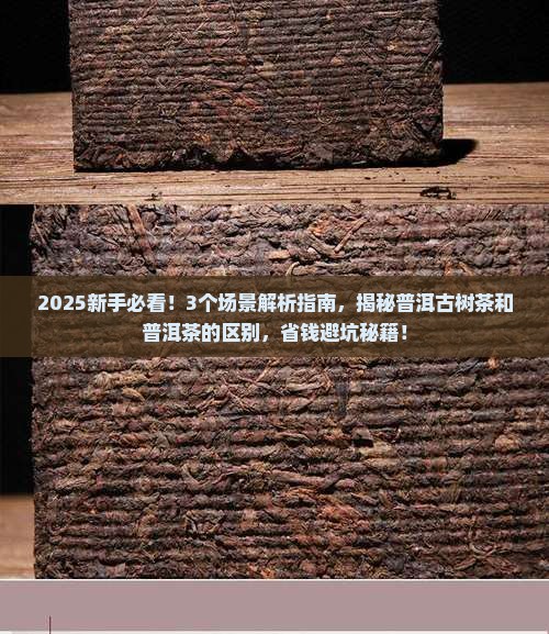 普洱古树茶和普洱茶