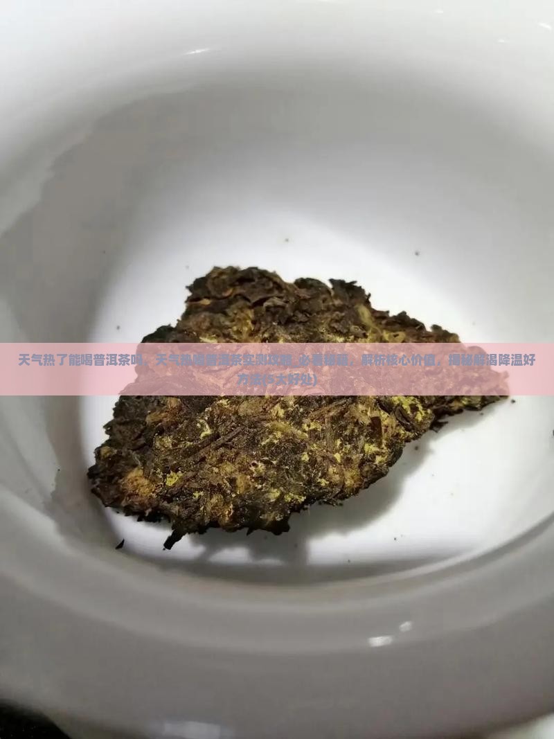天气热了能喝普洱茶吗
