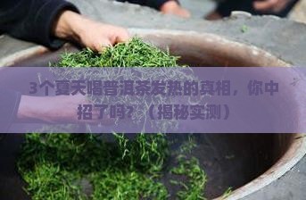夏天喝普洱茶身体发热