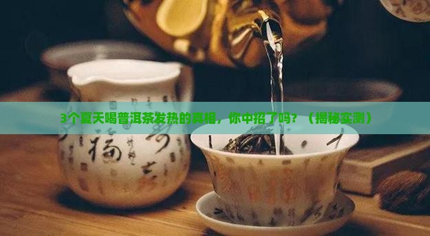 夏天喝普洱茶身体发热