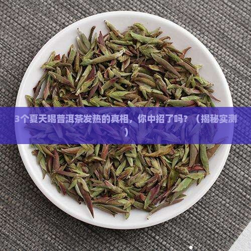 夏天喝普洱茶身体发热