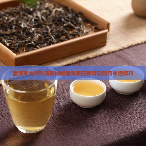 普洱茶大师牛如松