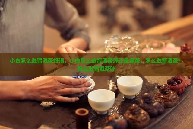 小白怎么选普洱茶好