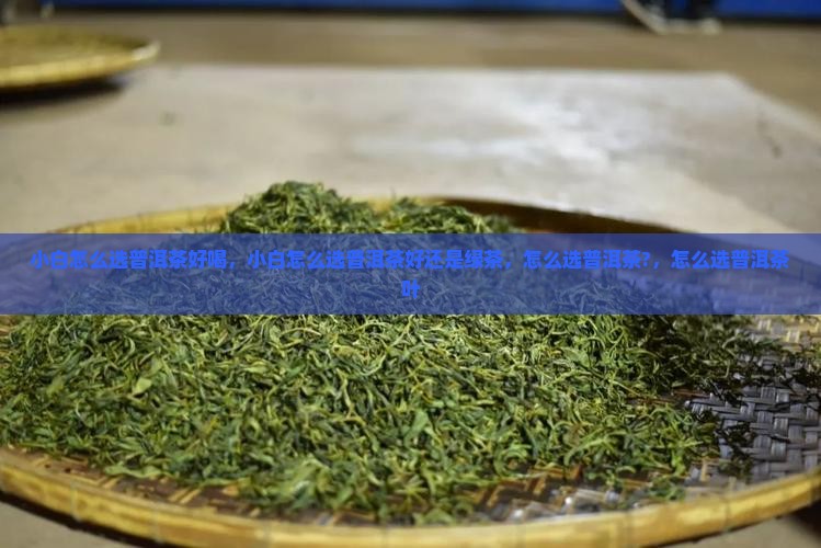 小白怎么选普洱茶好