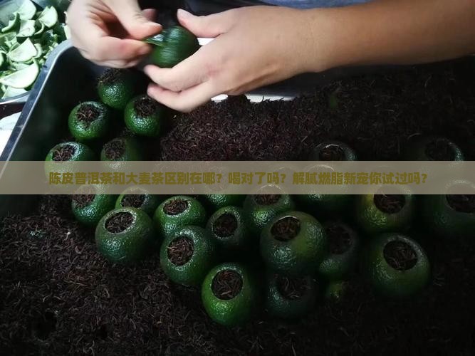 陈皮普洱茶和大麦茶区别