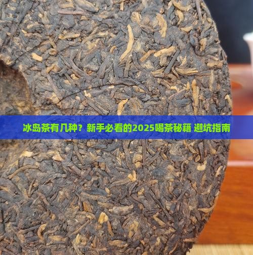 冰岛茶有几个品种