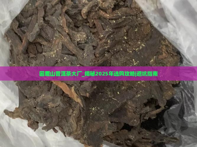 困鹿山普洱茶大厂