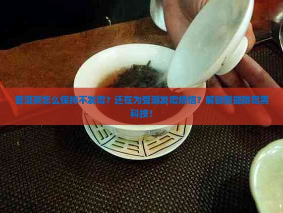 普洱茶怎么保持不发霉