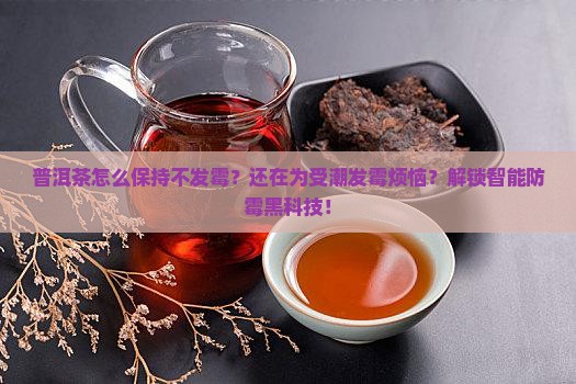 普洱茶怎么保持不发霉