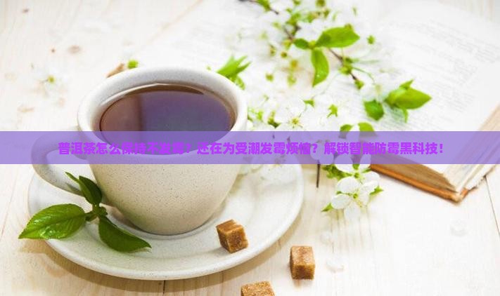 普洱茶怎么保持不发霉