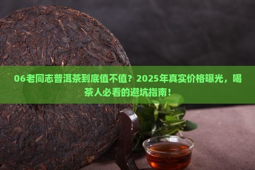 06老同志普洱茶价格