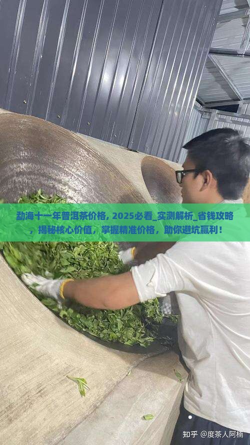 勐海十一年普洱茶价格