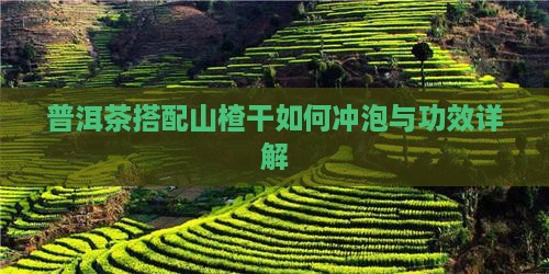 普洱茶搭配山楂干