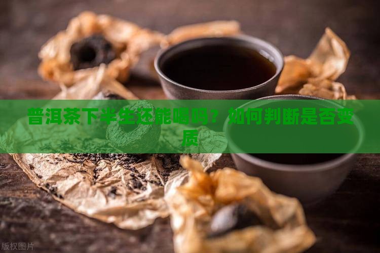 普洱茶下半生还能喝吗
