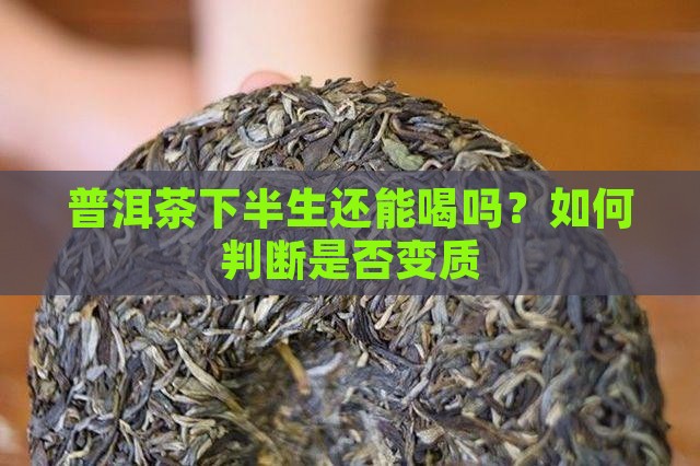 普洱茶下半生还能喝吗