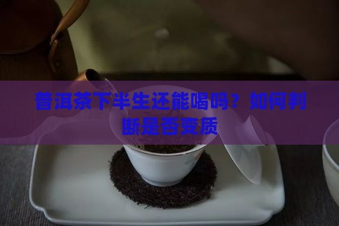 普洱茶下半生还能喝吗