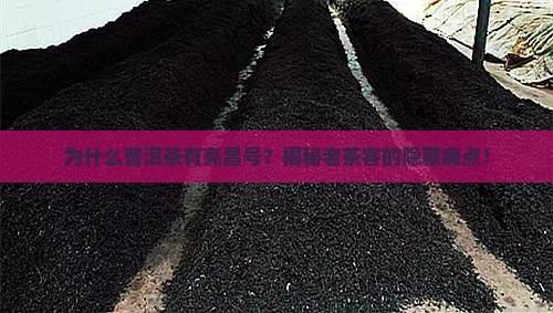 普洱茶为什么有亮昌号