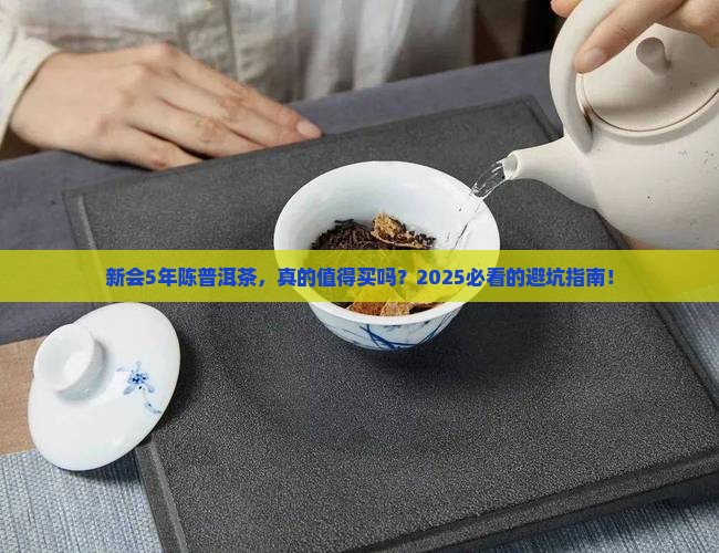 新会5年陈普洱茶