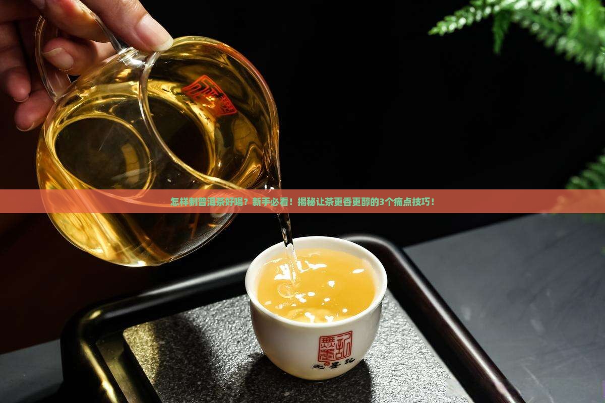 怎样制普洱茶好喝