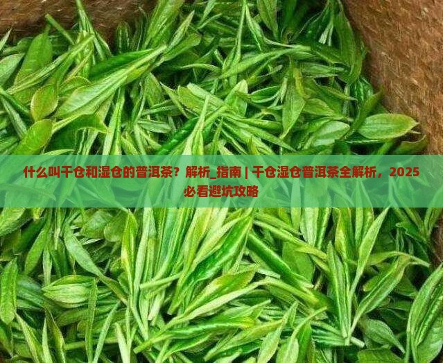 什么叫干仓和湿仓的普洱茶