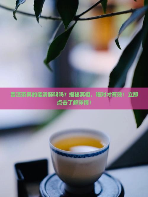 普洱茶真的能清肺吗吗