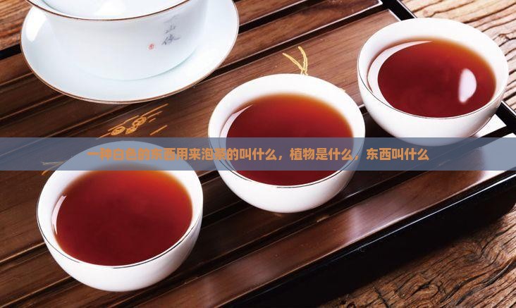 一种白色的东西用来泡茶的