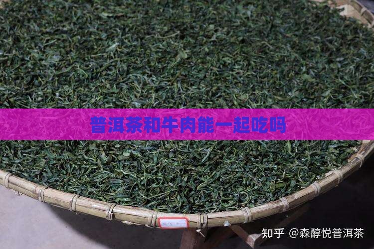 普洱茶和牛肉能一起吃吗