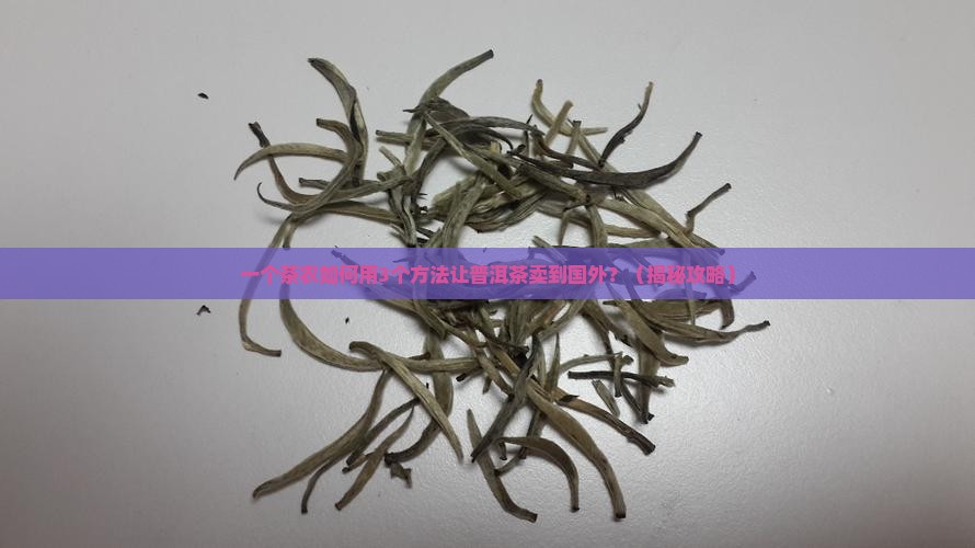 普洱茶如何打入国际市场