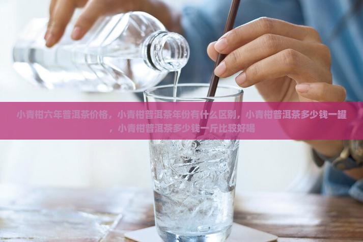 小青柑六年普洱茶价格