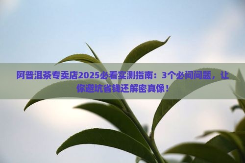 阿普洱茶专卖店