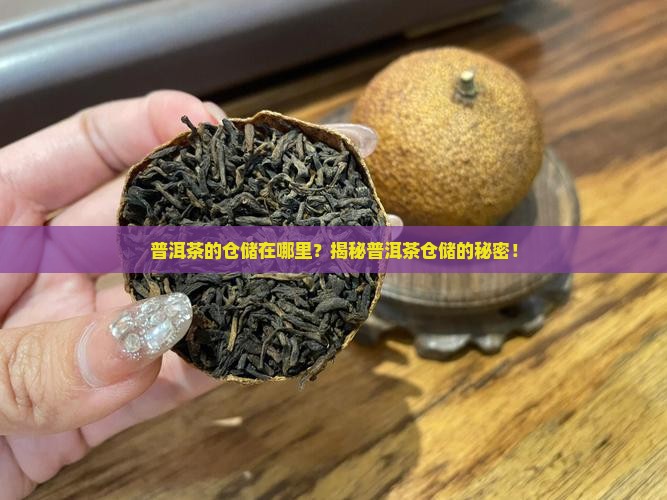 普洱茶的仓储在哪里