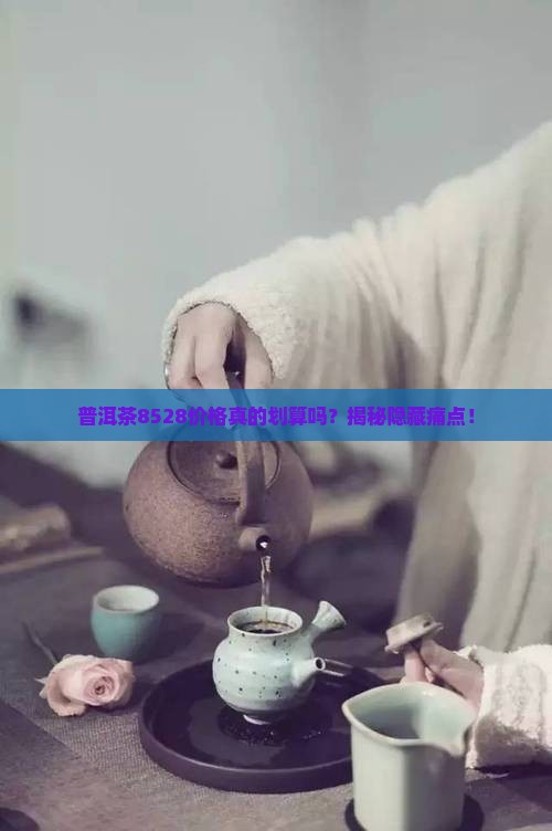 普洱茶8528的价格