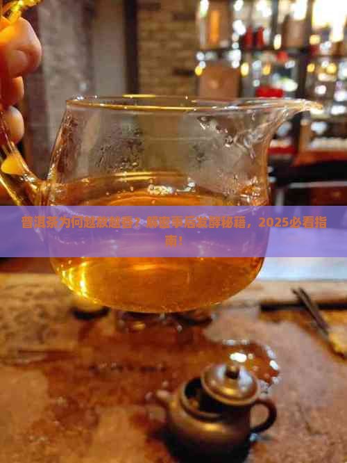 普洱茶为什么事后发酵