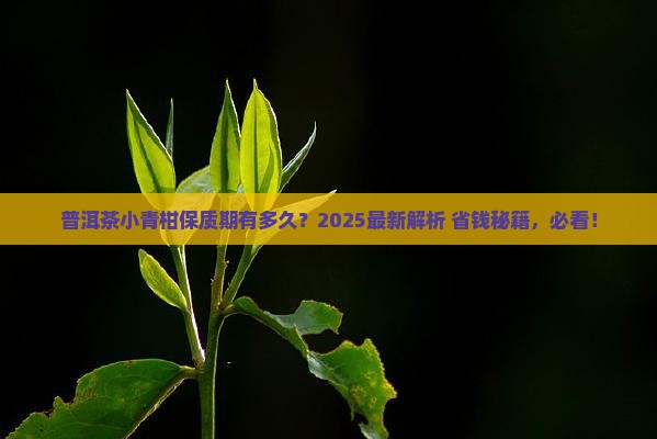 普洱茶小青柑能放多久