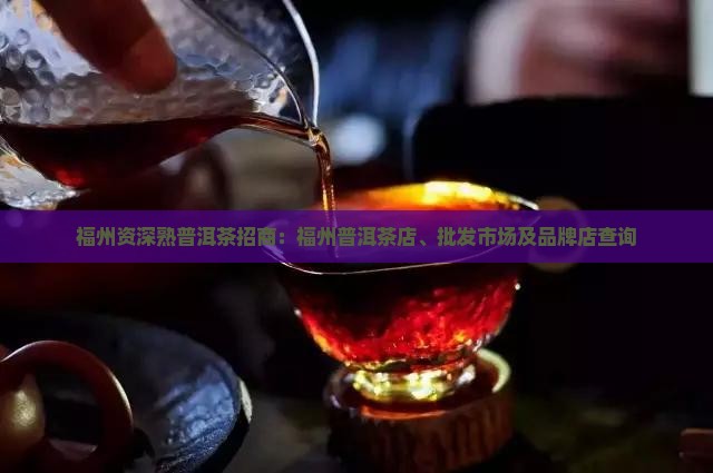 福州资深熟普洱茶招商
