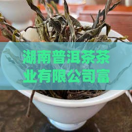 湖南富硒普洱茶加工厂电话